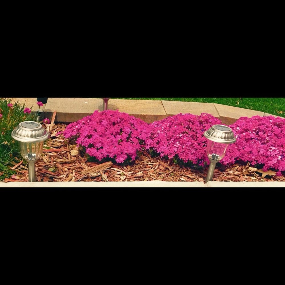 Meet your Posher, Sa